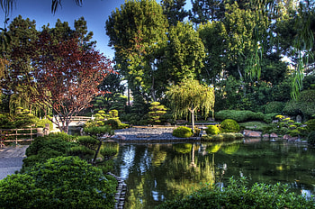Nature, Sky, Bridge, Pond, Arboretum HD wallpaper
