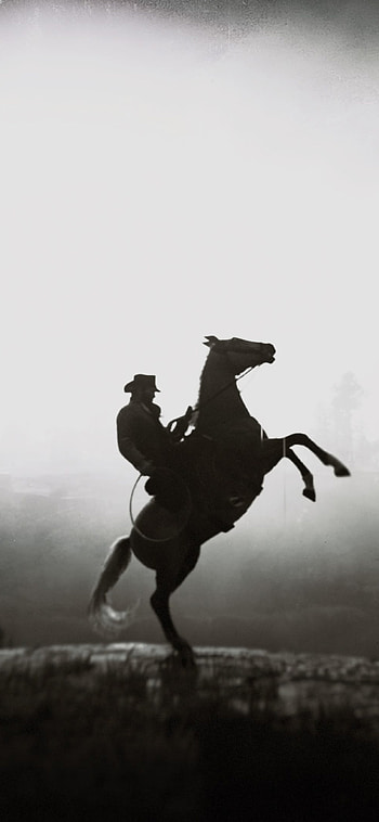 Red Dead Redemption 2, Equitation HD phone wallpaper