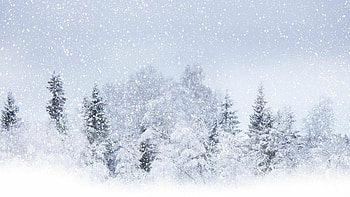 Snowfall wonder, Winter precipitation, Snowy blizzard, Enchanting snow forest HD wallpaper