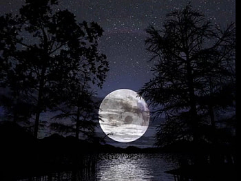 Big Moon Rising, night, rising, big, moon, pretty HD wallpaper
