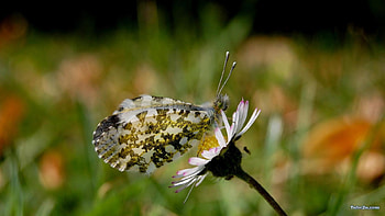 3d art general, 3d, general HD wallpaper