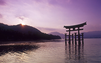 Japanese , Captivating visuals, Serene backgrounds, Artistic designs HD wallpaper
