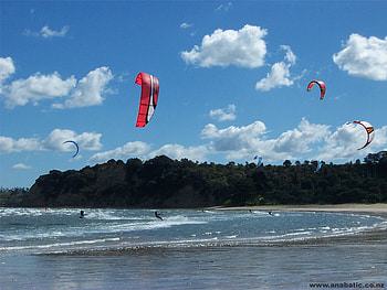 Summer day, surfing, shore, waves, trees, sky, flying, people, beach HD wallpaper