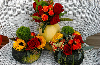 Flowers, Sunflowers, Roses, Bouquets, Pumpkin, Butterfly, Composition HD wallpaper