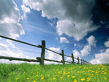 fields, nature HD wallpaper
