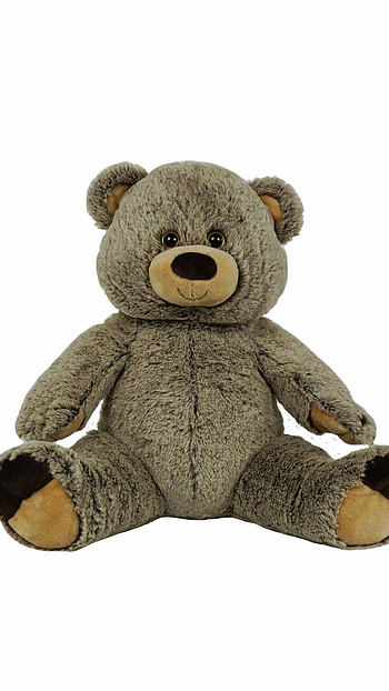 Teddy Bear Live, Soft, Toy HD phone wallpaper