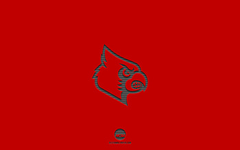 Louisville Cardinals, red background, American football team, Louisville Cardinals emblem, NCAA, Louisville, USA, American football, Louisville Cardinals logo HD wallpaper