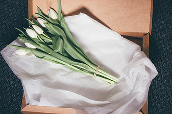 Flowers, Tulips, Bouquet, Packaging HD wallpaper