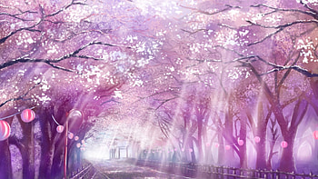 Anime Landscape, Scenic, Sakura Blossom, Cherry, Path, Sunlight HD wallpaper