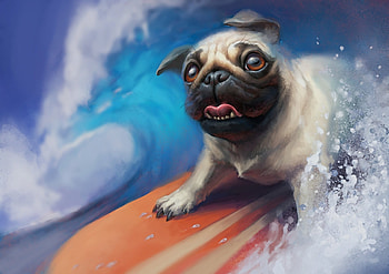 Surfin'Pug, dog, pug, surfboard, wave HD wallpaper