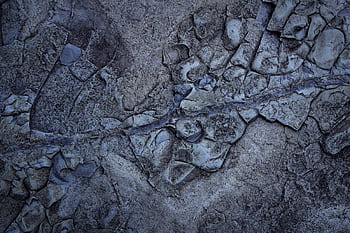 Close-up view of an abstract stone surface displaying natural cracks and textures. HD wallpaper