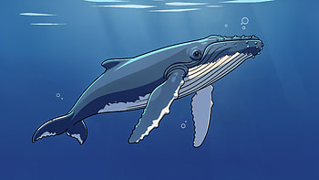 Humpback Majesty — | Deep Blue Humpback | Ocean Giant: Humpback, Humpback Whale HD wallpaper