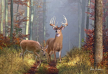 Checking The Trail, doe, buck, forest, painting HD wallpaper