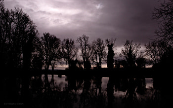 Evening Pond, reflections, tree, purple, clouds, trees, sky, water, still, dramatic, evening, pond, storm HD wallpaper