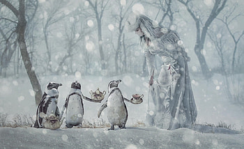 Tea time, winter, white, penguin, tea, iarna, girl, annewipf, cup, funny HD wallpaper