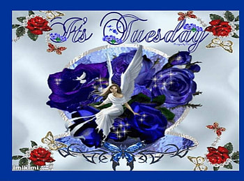 It's Tuesday, butterflies, roses, dove, blue frame, tuesday, angel HD wallpaper