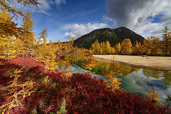 Autumn Mood Jack London Lake , lake, autumn, nature HD wallpaper