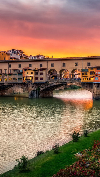 Ponte Vecchio, Florence Duomo, Architectural marvel, Iconic skyline HD phone wallpaper