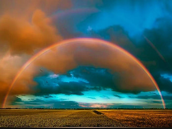 Aquamarine pot of gold, rainbow, field, clouds, sky, golden birds, aquamarine HD wallpaper