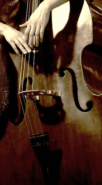 Double Bass , Low-end resonance, Stringed melodies, Musical artistry HD phone wallpaper