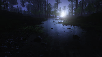 Water Stream Night Forest , forest, water, night, nature HD wallpaper