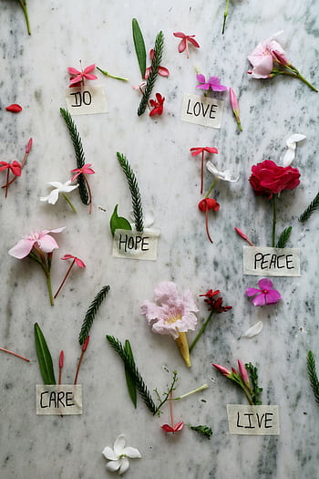 A creative floral arrangement with inspiring words on a marble background, perfect for decor and design. HD phone wallpaper