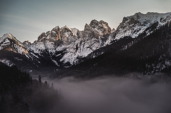 Forest, valley, fog, mountains HD wallpaper