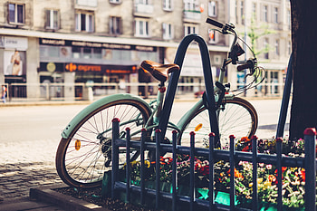 Miscellanea, Miscellaneous, Flower Bed, Flowerbed, Vintage, Fence, Bicycle HD wallpaper