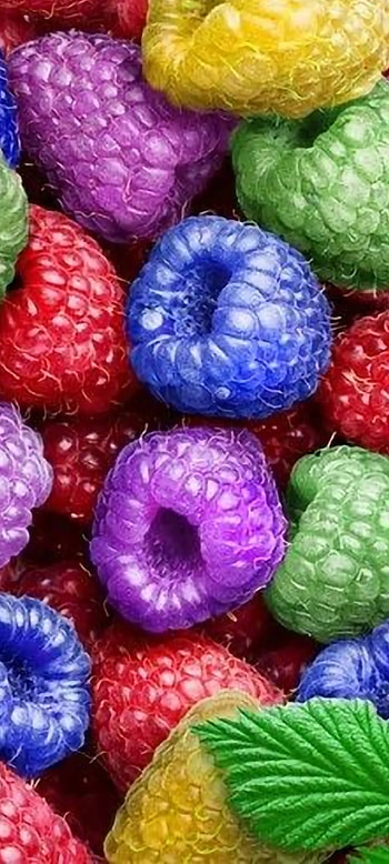 LoveLife, seedless_fruit, green HD phone wallpaper