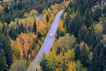 A campervan travels on a winding road through vibrant autumn forest scenery. HD wallpaper