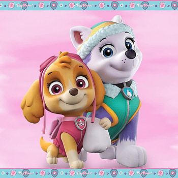 Paw patrol ideas in 2021. paw patrol, paw, paw patrol party, Skye Paw Patrol HD phone wallpaper