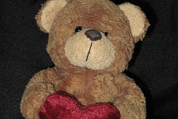 teddy bear, doll HD wallpaper