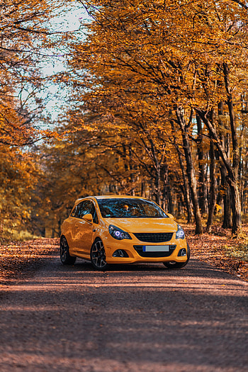 Autumn, Opel, Cars, Car, Front View, Opel Corsa Opc HD phone wallpaper