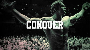 Search Results for “arnold schwarzenegger conquer ” – Adorable HD wallpaper