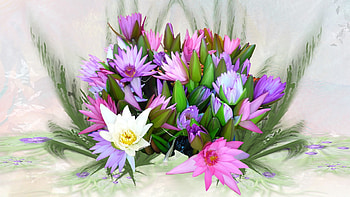 Abundance of Colors, bouquet, firefox persona, colors, ferns, spring, summer, purple, pink, blossoms, bright, water lily, blooming, flowers, blooms, lilies HD wallpaper