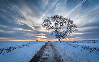 Snowy Morning in England, England, winter, road, tree, clouds HD wallpaper