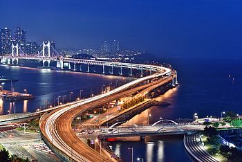 City Lights, Cities, Night City, Skyscrapers, Bridge HD wallpaper