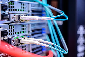 Detailed shot of Ethernet cables connected to server ports highlighting technology infrastructure. HD wallpaper