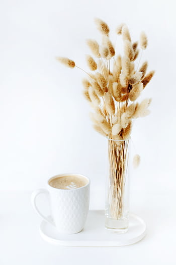 Elegant coffee with dried flowers on a white background, perfect for a calming morning atmosphere. HD phone wallpaper
