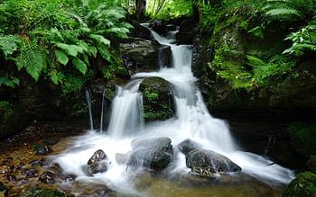 Small Waterfall in the Black Forest, Germany, river, leaves, water, rocks, stones HD wallpaper