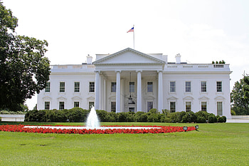 White House, Top backgrounds, Washington D.C., Government HQ HD wallpaper