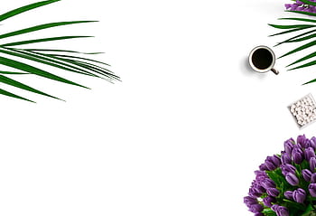 Minimalist flat lay with coffee, purple tulips, palm leaves, and marshmallows on white background. HD wallpaper