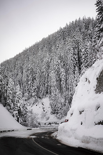 Winter, Nature, Trees, Snow, Mountain, Road, Slope HD phone wallpaper