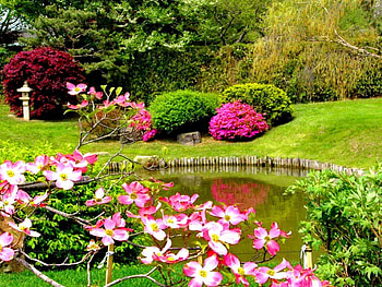 Springtime, spring, coloful, nice, reflection, blossoms, trees, pond, flowering, grenery, bushes, beautiful, grass, lake, pretty, freshness, green, blooming, nature, flowers, lovely, forest HD wallpaper