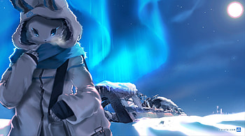 Winter, blue, white, snow, furry HD wallpaper