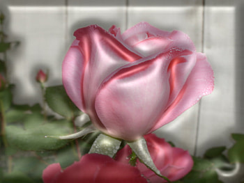 give me love, soft, pink, feeling, love HD wallpaper