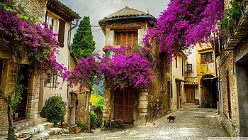 Provence, Europe HD wallpaper