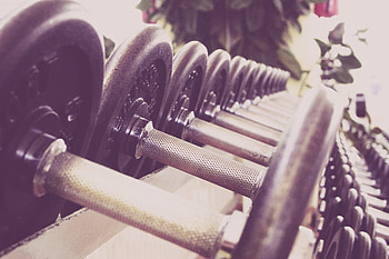 Sports, Dumbbells, Gym, Gymnasium HD wallpaper