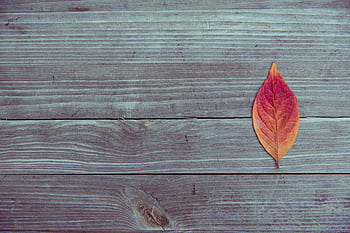 A vibrant red leaf on a textured wooden surface, capturing autumn's essence. HD wallpaper