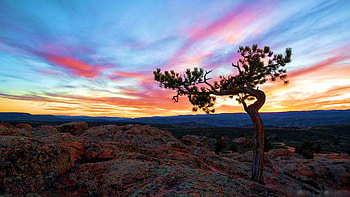 Gunnison, Colorado, colors, landscape, clouds, sky, usa, tree HD wallpaper